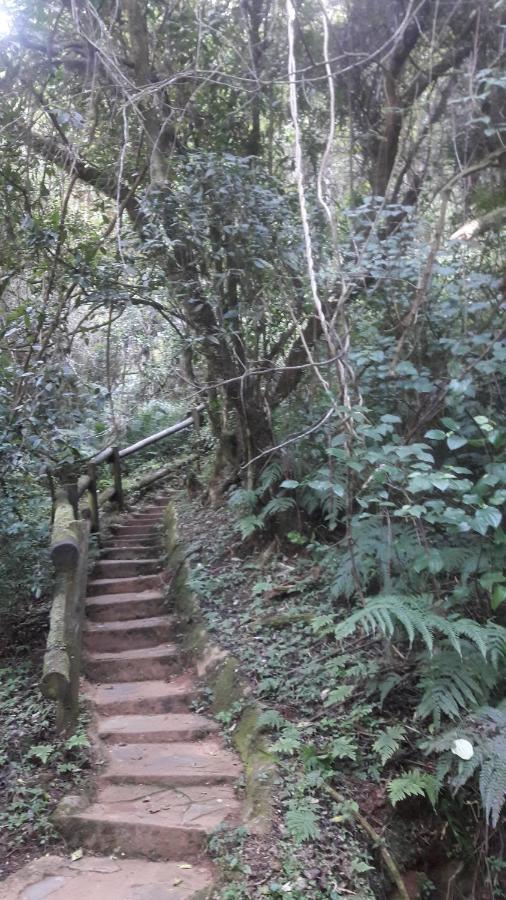 Tehilah Bed & Breakfast Sabie Luaran gambar